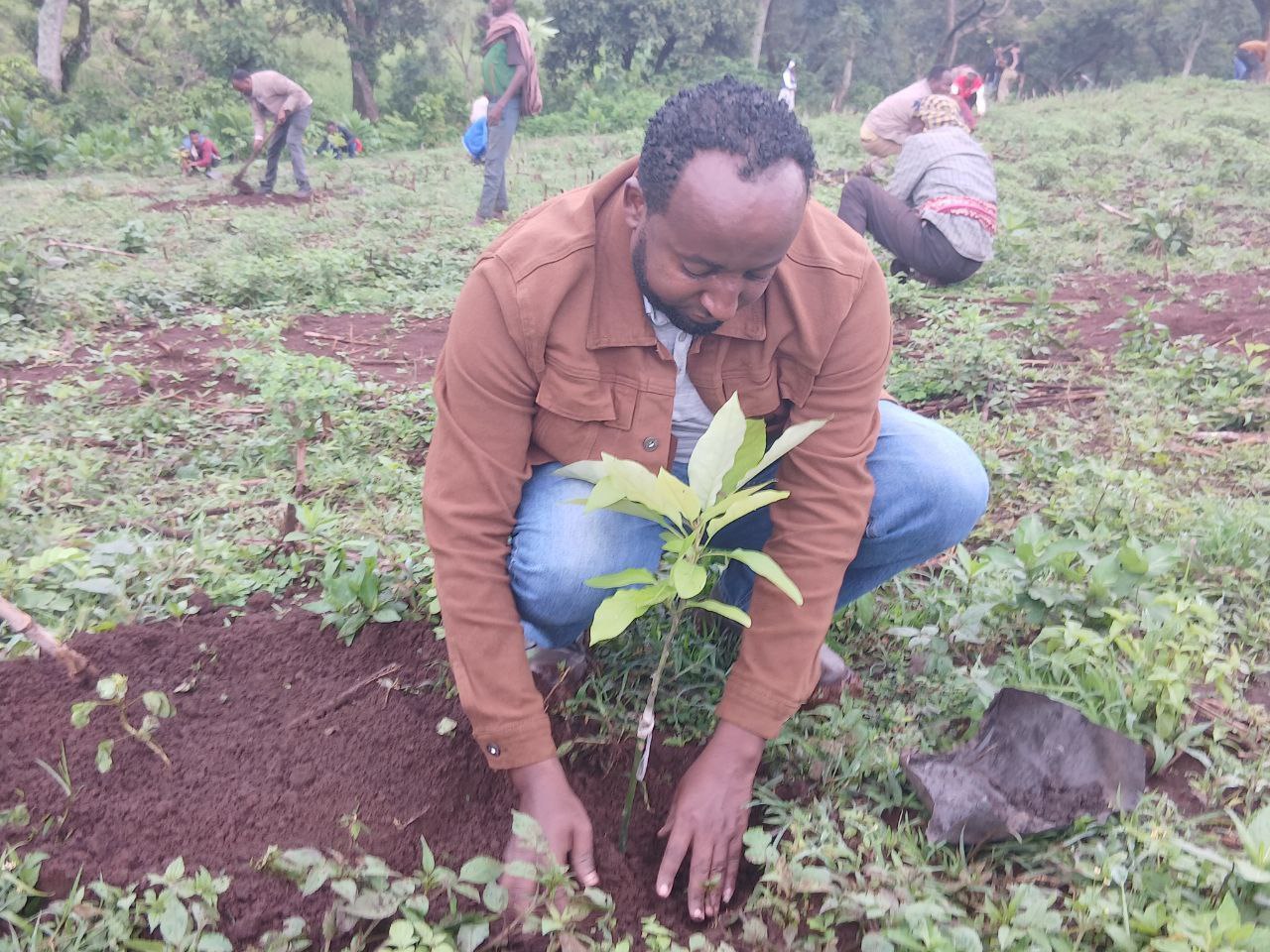 Ashaaraa 1 (First Type)