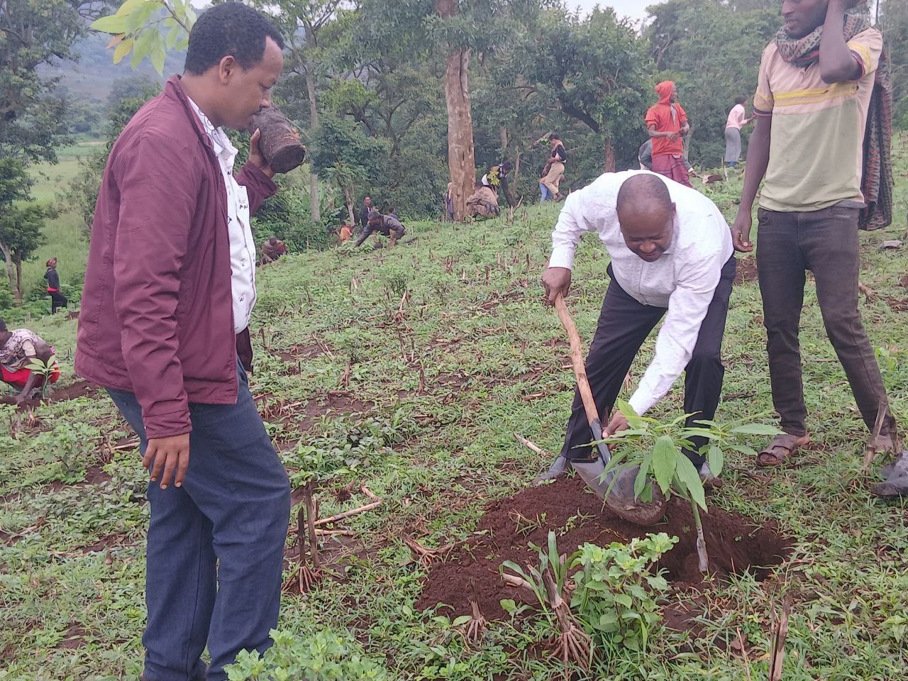 Ashaaraa 2 (Second Type)